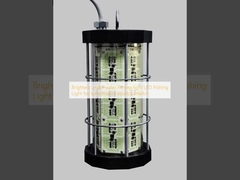 Luce di pesca subacquea più luminosa a LED Luce di pesca per tonno/pallume/seppia